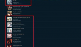 国产视频网站在线,引领潮流的影视盛宴