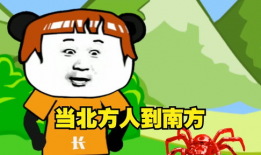 免费搞笑视频,笑点满满，欢乐无限