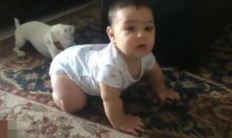 小宝视频,趣味盎然，寓教于乐的童年时光